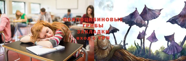 a pvp Киреевск