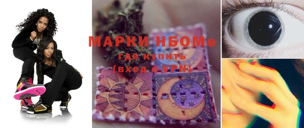 гашик Козловка
