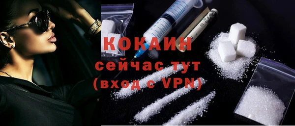 дмт Кодинск