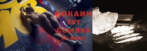 гашик Козловка