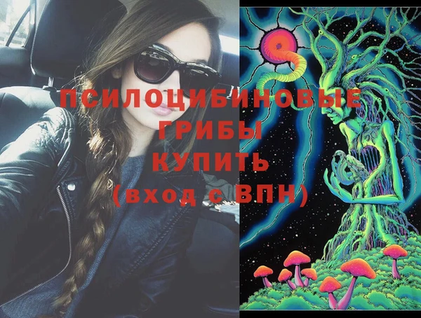 твердый Кинешма
