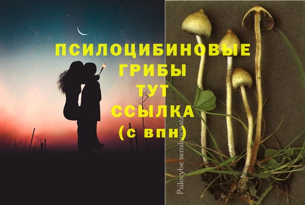 гашик Козловка