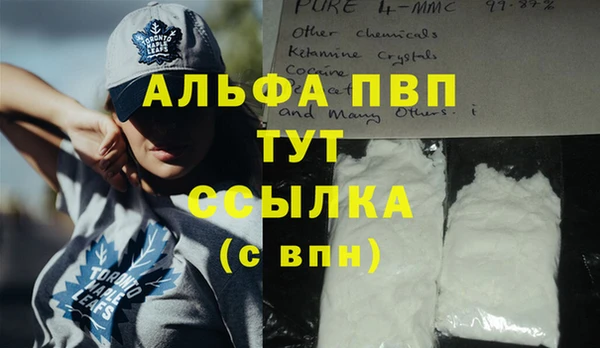 гашик Козловка