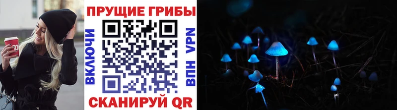 Псилоцибиновые грибы прущие грибы  Курильск 
