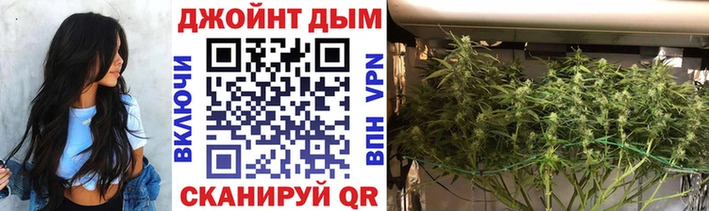 Марихуана SATIVA & INDICA  MEGA рабочий сайт  Курильск  купить наркоту 